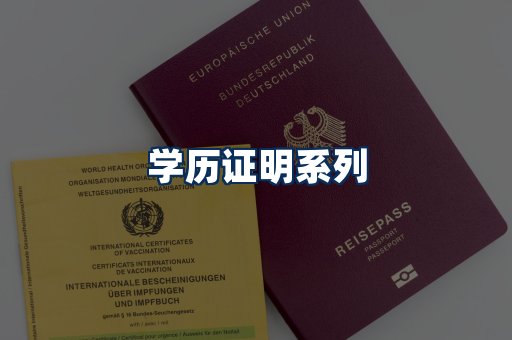 学历证明展示