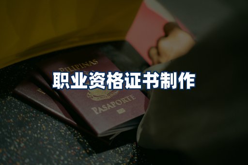 职业资格展示