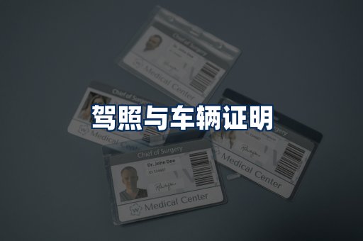 车辆证明展示