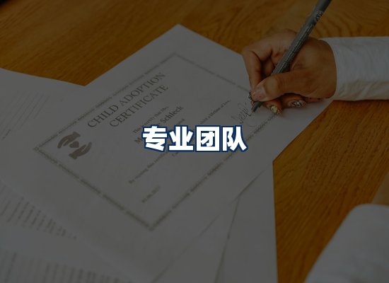 专业团队
